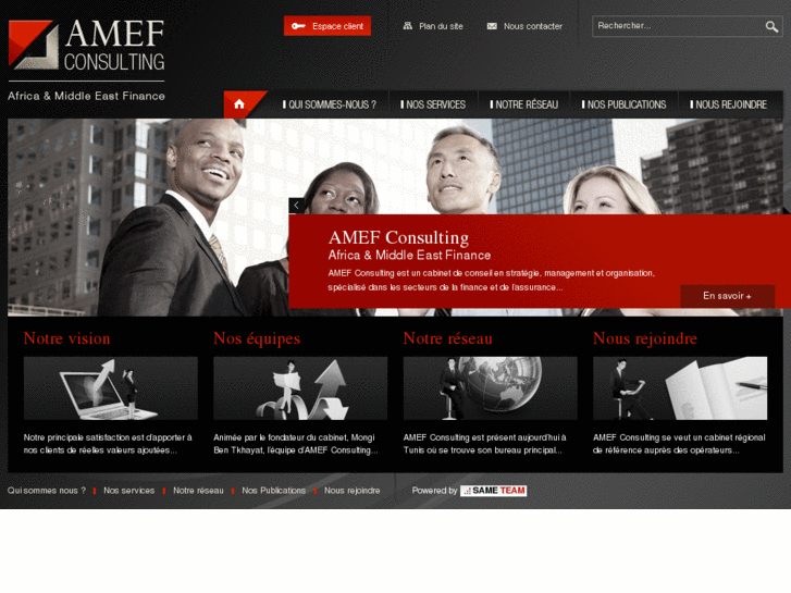 www.amef-consulting.com