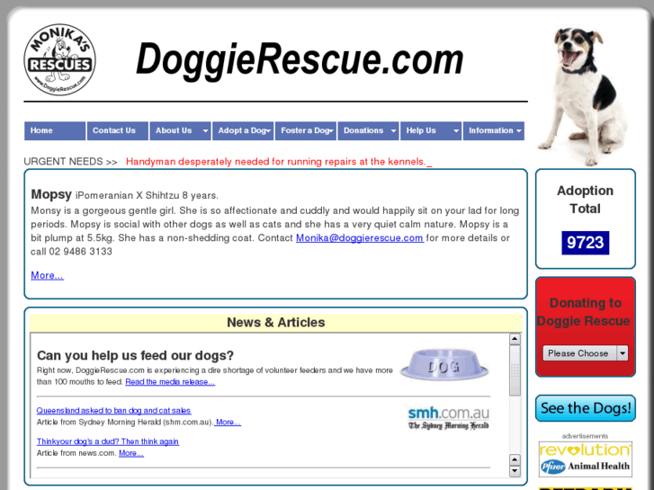 www.doggierescue.com