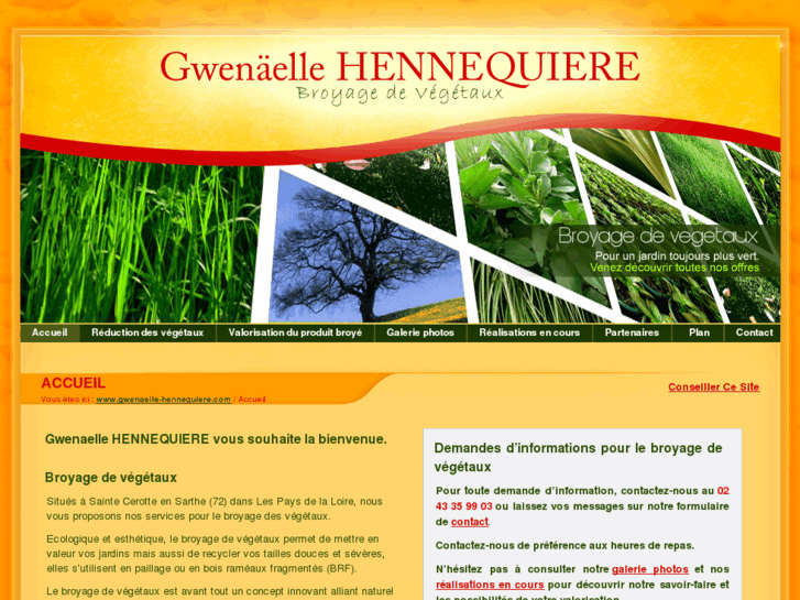 www.gwenaelle-hennequiere.com