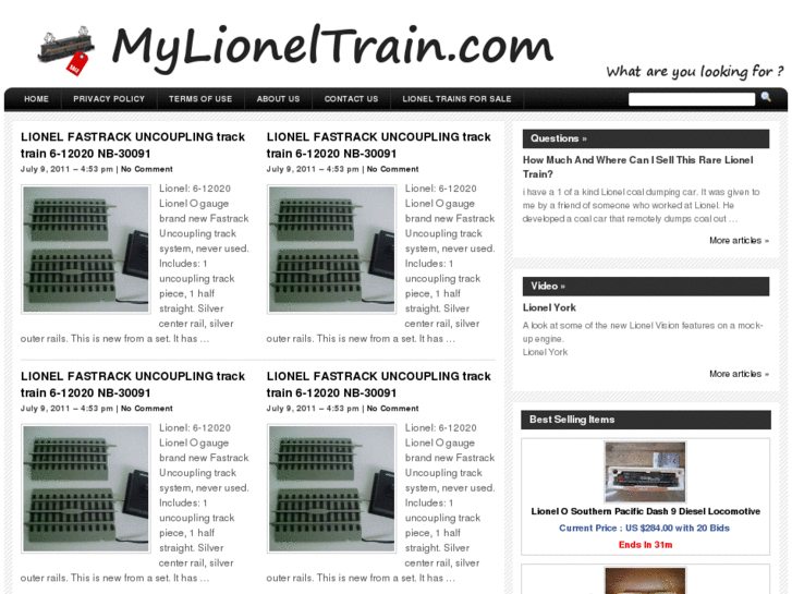 www.mylioneltrain.com