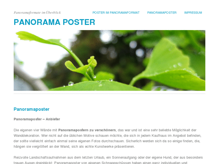 www.panoramaposter.org