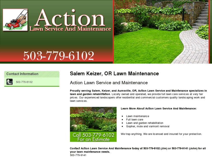 www.actionlawn.net