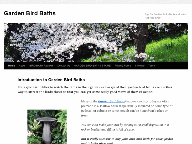 www.bestgardenbirdbaths.com