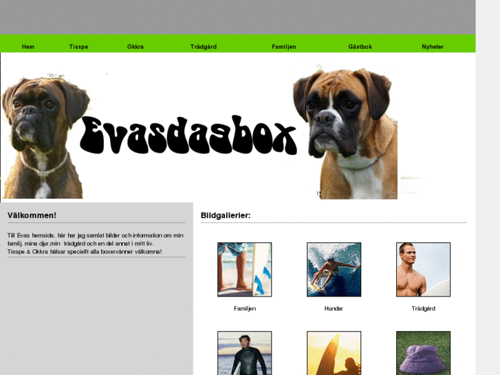 www.evasdagbox.com