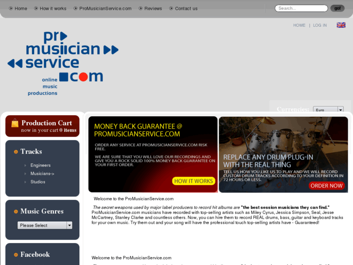 www.promusicianservice.com