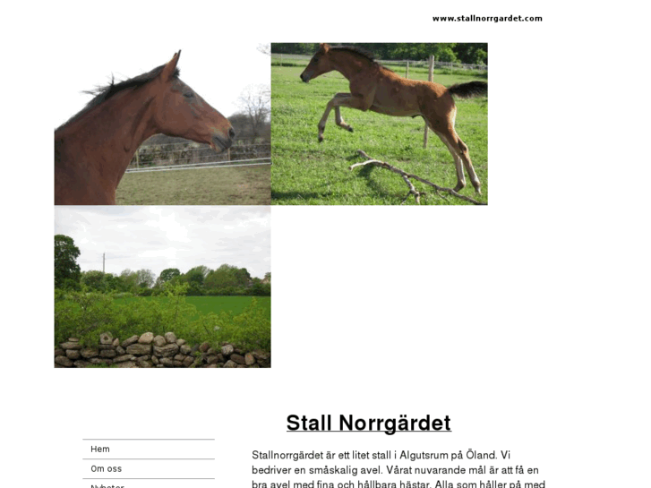 www.stallnorrgardet.com