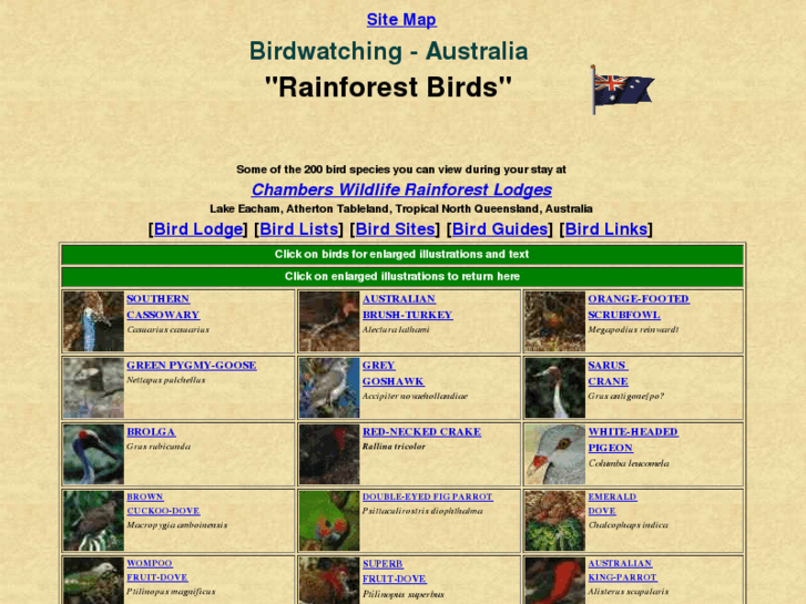 www.birdwatching-australia.com