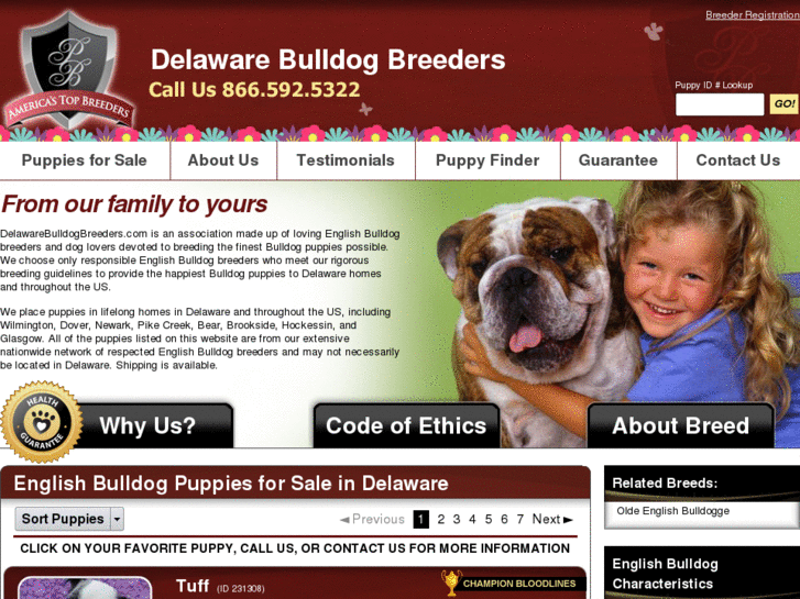 www.delawarebulldogbreeders.com