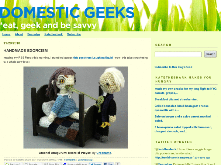 www.domesticgeeks.com