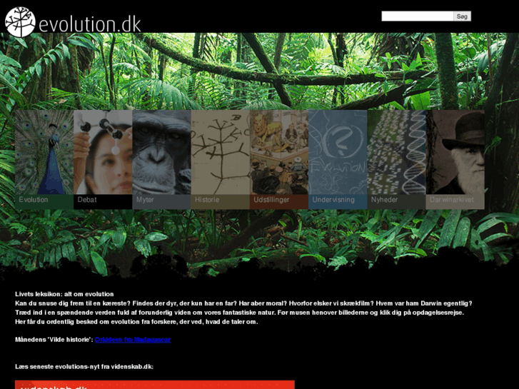 www.evolution.dk