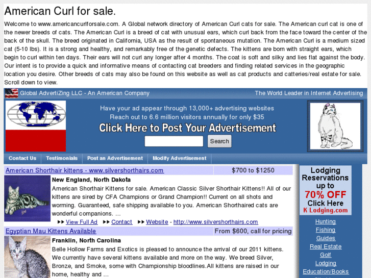 www.americancurlforsale.com