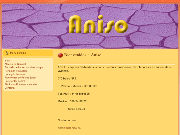 www.aniso.es