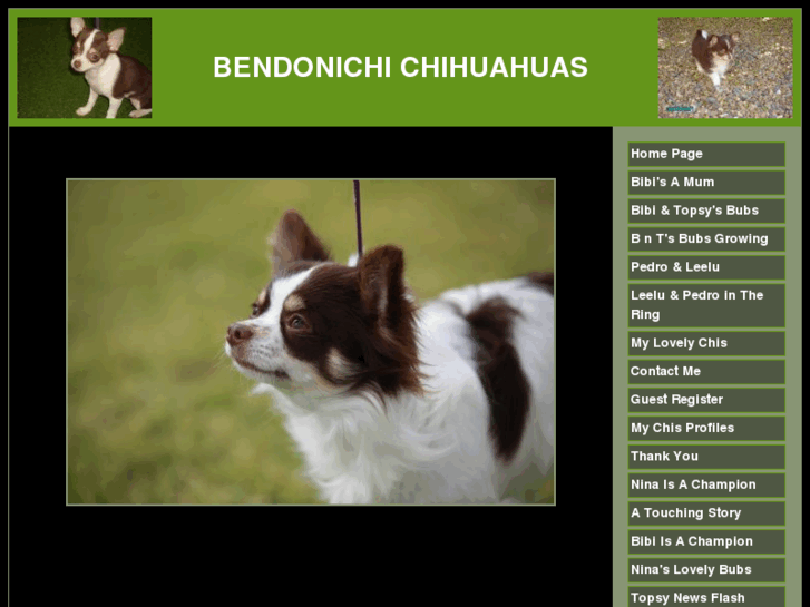 www.bendonichi.com
