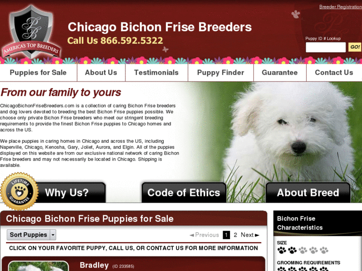 www.chicagobichonfrisebreeders.com