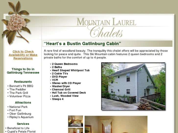 www.gatlinburgcabin-heartsabustin.com