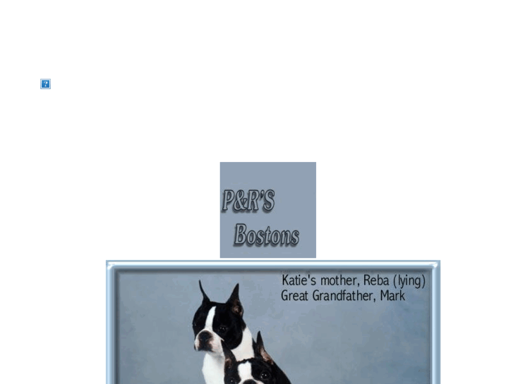 www.pandrbostonterriers.com