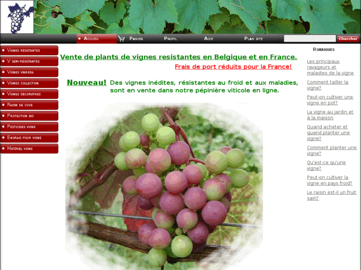 www.vigne.eu