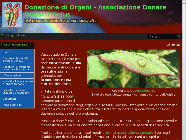 www.donaredonarsi.org