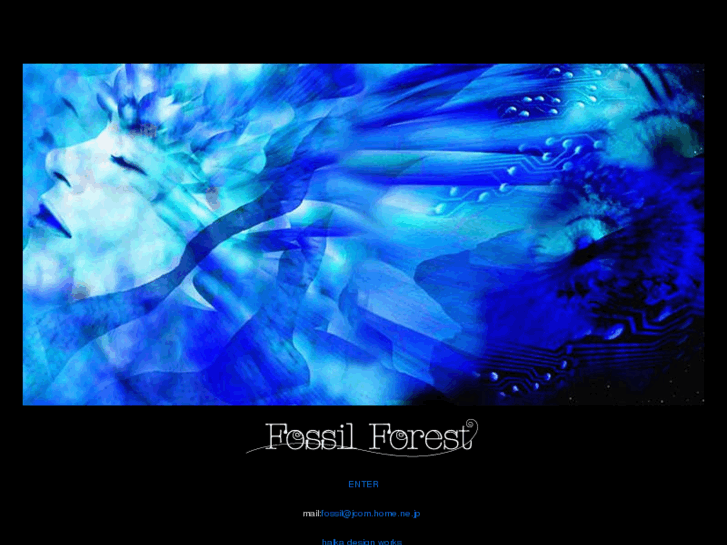 www.fossil-forest.com