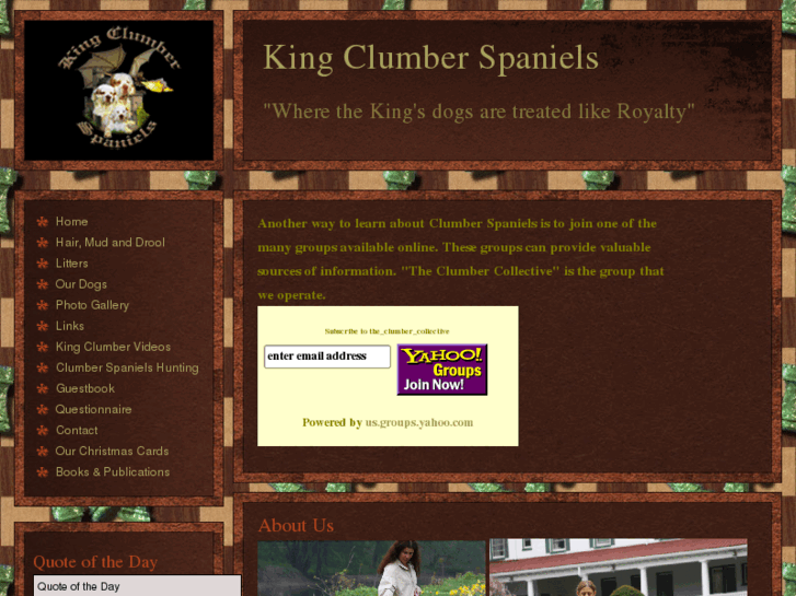 www.kingclumberspaniels.com