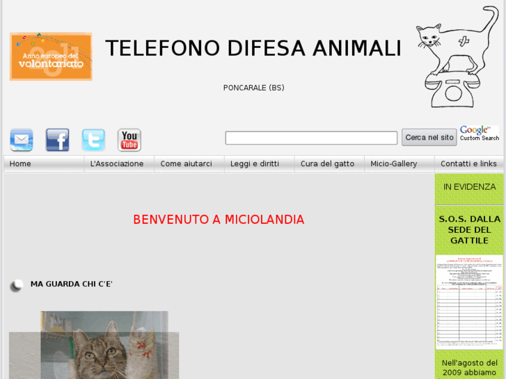 www.telefonodifesaanimali.it