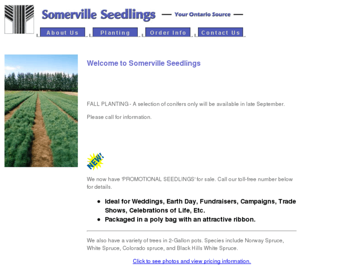 www.treeseedlings.com