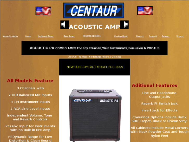 www.acousticguitaramp.com