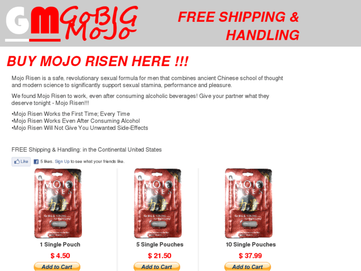 www.gobigmojo.com