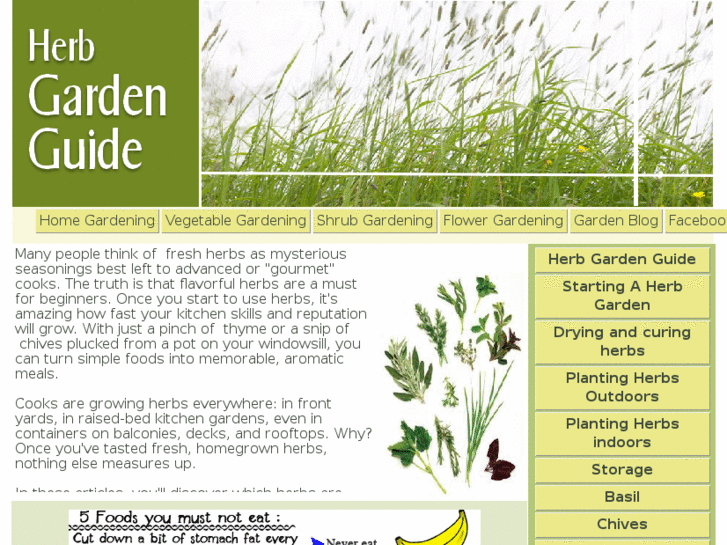 www.herbgardenguide.com