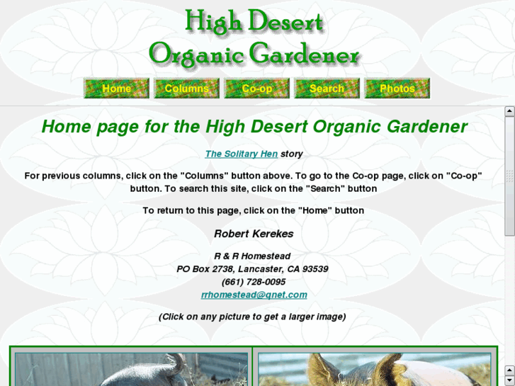 www.highdesert-organicgardener.com