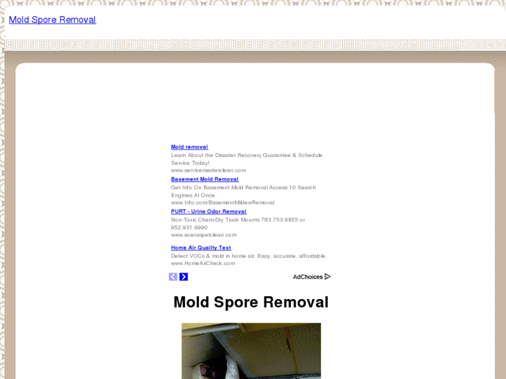 www.moldsporeremoval.com