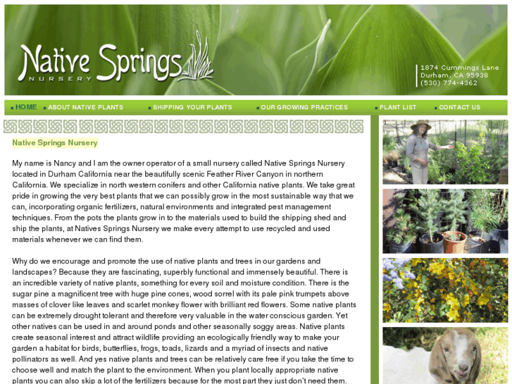 www.nativespringsnursery.com