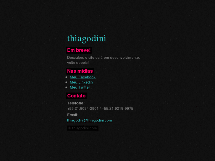 www.thiagodini.com