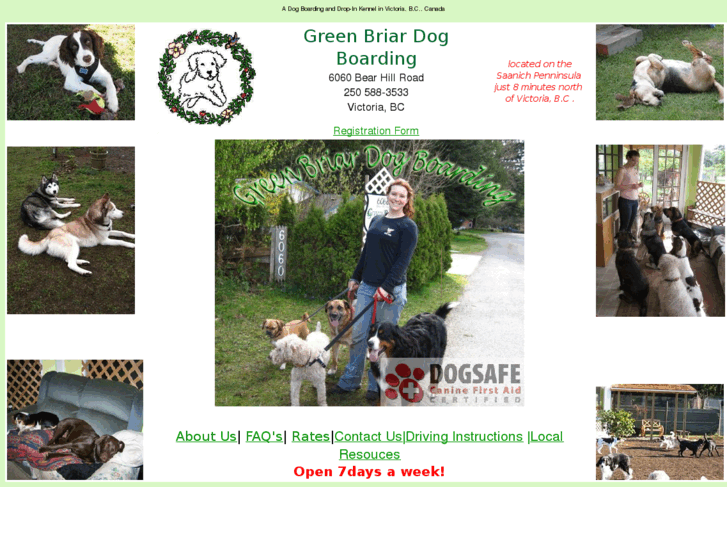 www.greenbriardogboarding.com