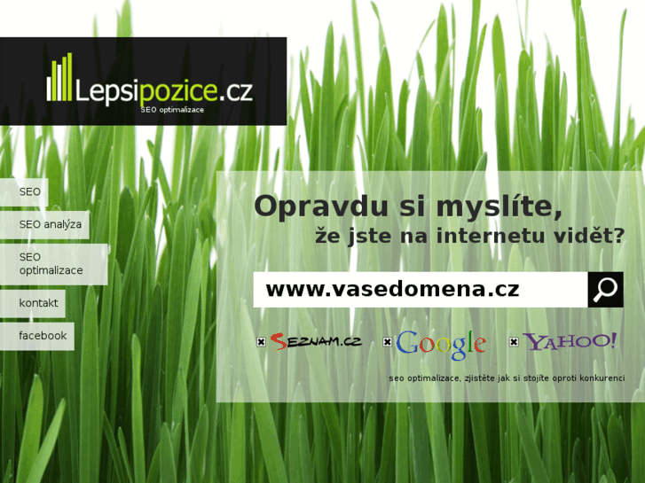 www.lepsipozice.cz