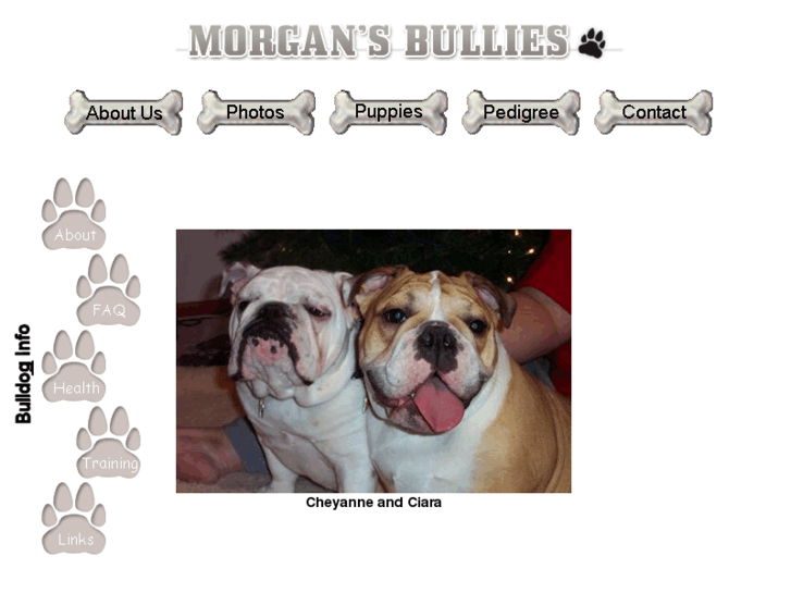 www.morgansbullies.com