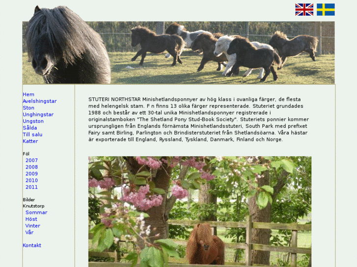 www.northstarstud.se