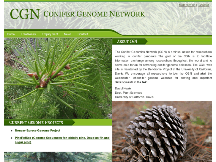 www.pinegenome.org
