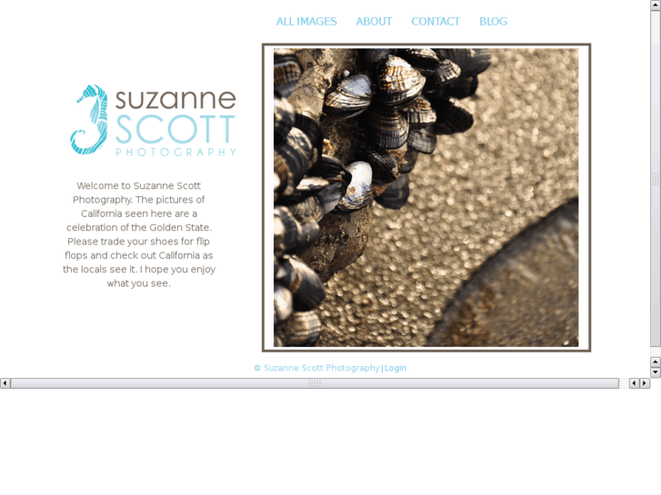 www.suzannescottphoto.com