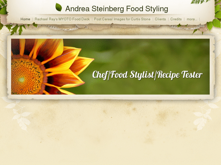 www.asteinbergfoodstyling.com