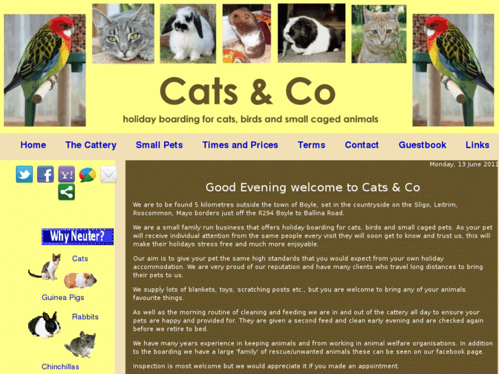 www.catsandcoholidays.com