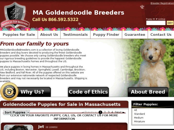 www.magoldendoodlebreeders.com