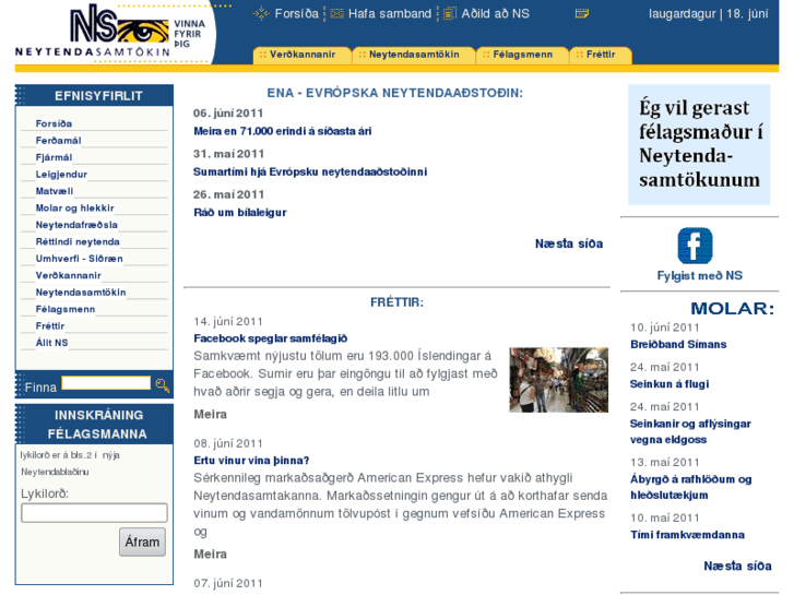 www.ns.is
