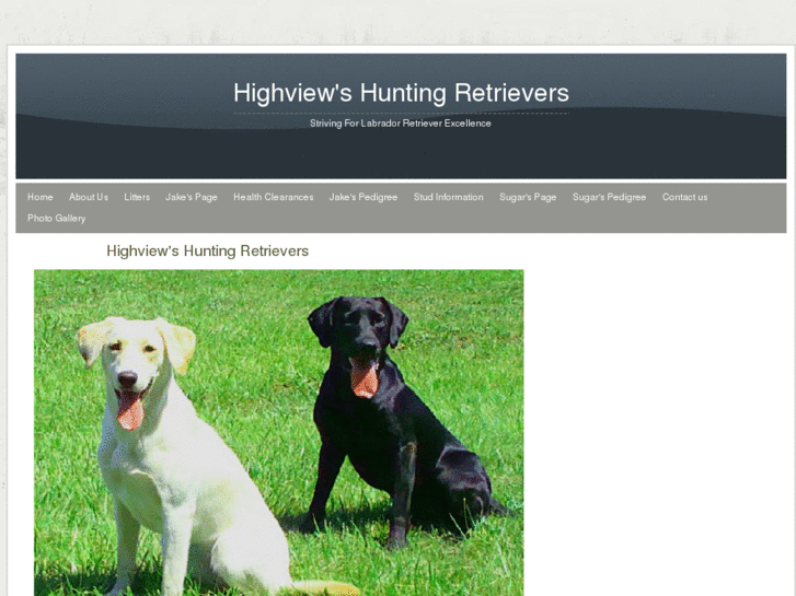 www.highviewsretrievers.net