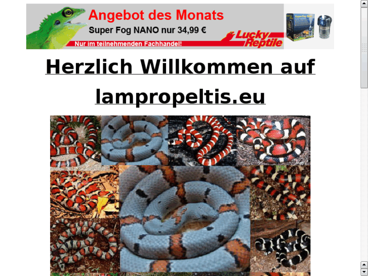 www.lampropeltis.eu