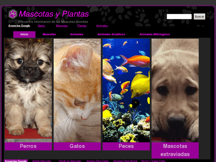 www.mascotasyplantas.com