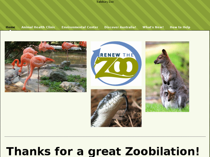 www.renewthezoo.com