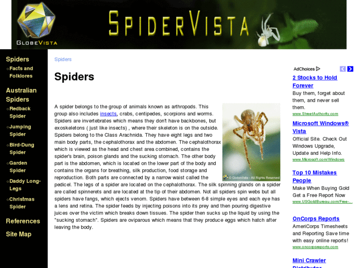 www.spidervista.com