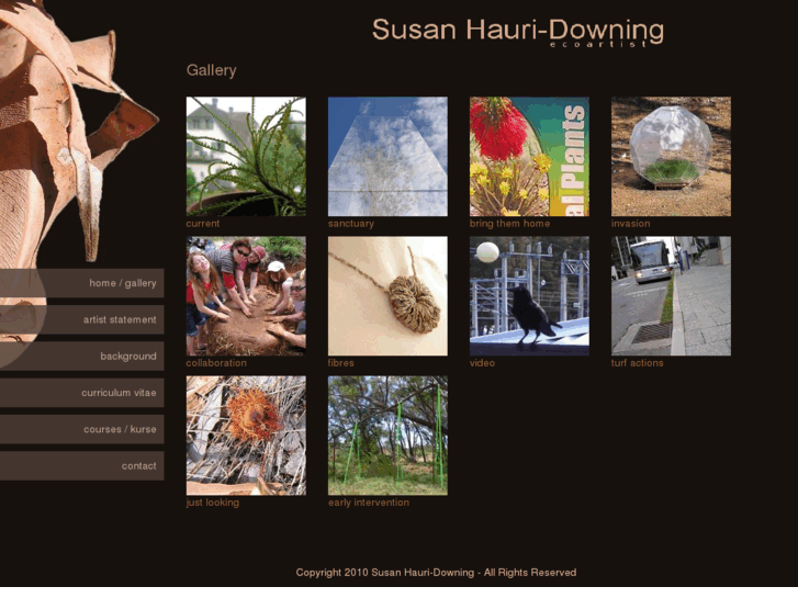 www.susanhauri-downing.com