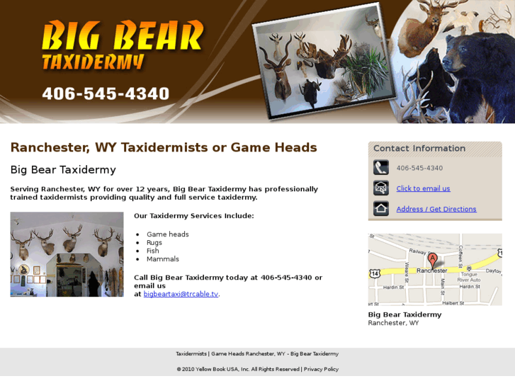 www.bbeartaxidermy.com